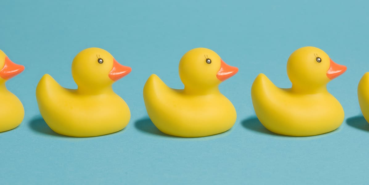 Three ways to make open enrollment successful, featuring a row of yellow rubber ducks to illustrate getting data organized.